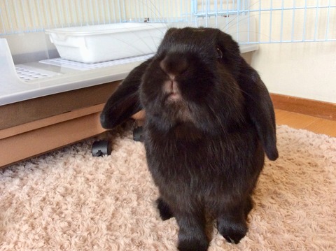 C336EE3A-E783-4184-963A-4BD00A538B7C