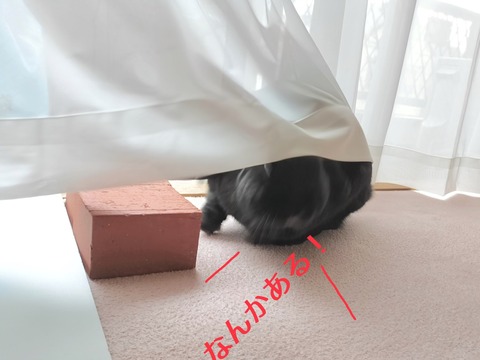 05DCBA96-36D7-4FDF-AD57-4A28B7CF517F