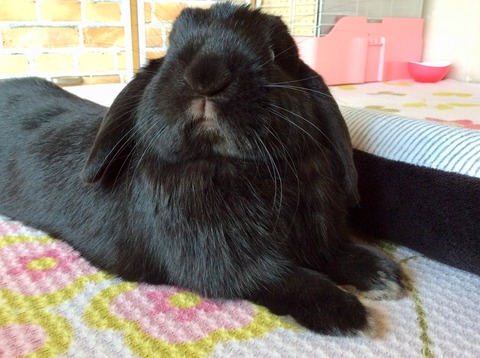 1912E295-5AC2-40AF-8FED-B4EE7F0BF4C0