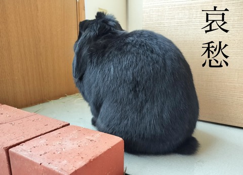 97E2B4D4-3466-4D47-906E-E0CA21BB9E22