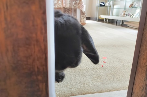 46B76D26-B0F0-48B7-9ECD-6E389B9FEC72