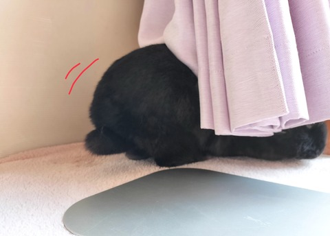 023CD566-802D-4463-82E0-15E7D70FD25D