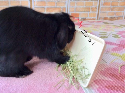 DA4E3635-A51A-424B-B195-0E5AAEFBC7EA