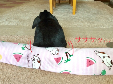 F95E3B9F-C5AD-4891-915B-9981344F9BC1