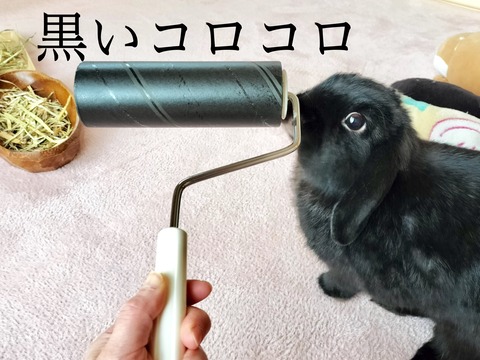 533ADD17-84E6-4C0E-B213-8EBD23BC5944