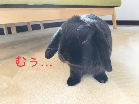 E06ECB00-8AE0-4376-B33F-1F671BE763AB