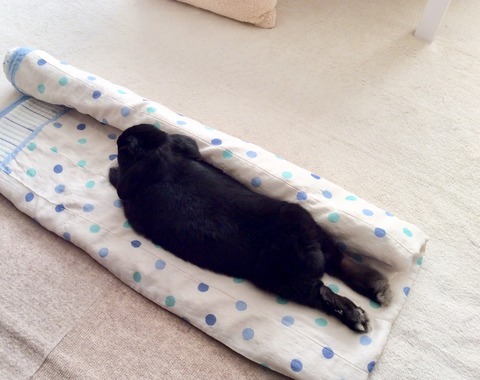 63B81439-27CF-4C3B-B61F-D947F8EA0940