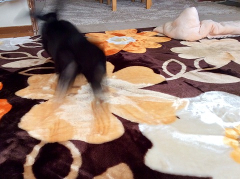 23C343D6-6098-4143-AD5B-708C6D3F82C1