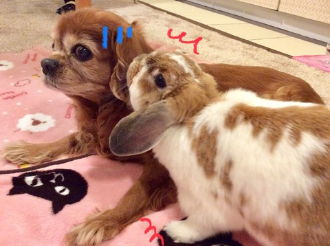 E6C99B85-BF36-4B4F-8D7D-FD073ABFACA9