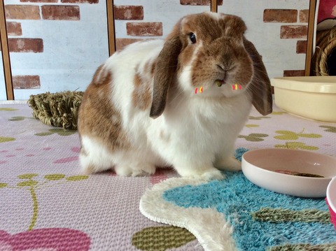 D6741ACC-CC92-456A-A00A-6FA58B9A95E9