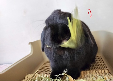 0645F375-1E7E-446F-A2B0-9ED5D385A14F