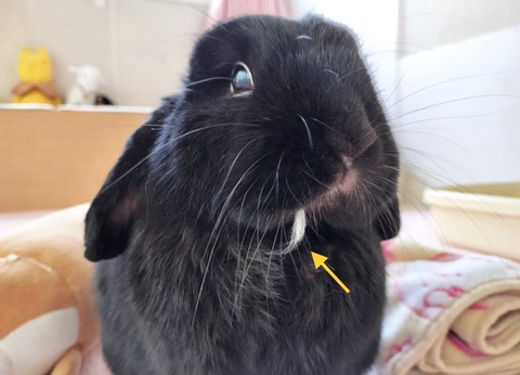 5D883198-DA32-4063-88CF-2D64D1A28E97