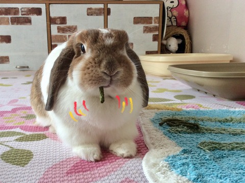 BAAD9AA4-6346-4C33-A6CC-E9D3BAFFACC0