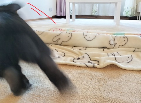 24656053-300B-4529-82D4-CF0D946CFE90