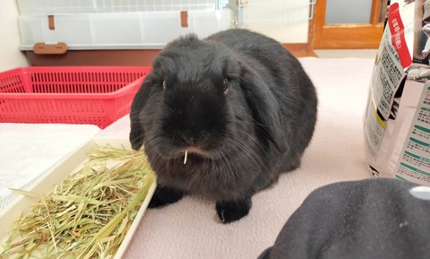 3E21A324-EB61-4C9C-B9B2-8068383097C3