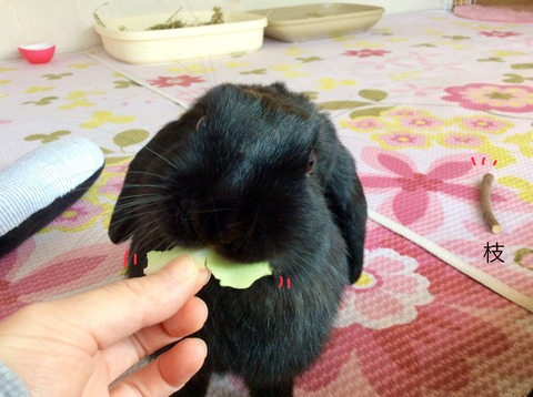 CB96B9D4-1125-4F43-A526-6A02CC26D437