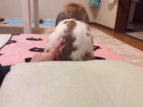 FBF91ED4-26F2-4598-8B13-99E62F15376C