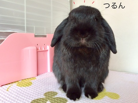 B5E436F7-BD4A-4AFB-9682-B94727DC4F51