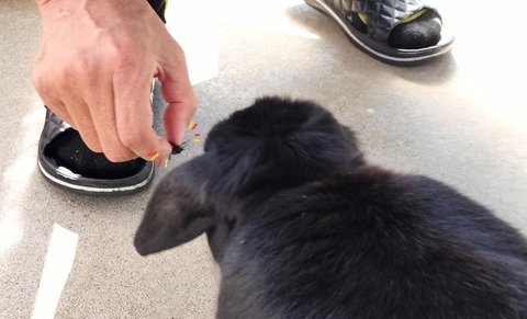 AD9FAEC0-97A8-417F-B138-9F5A70D80DBD