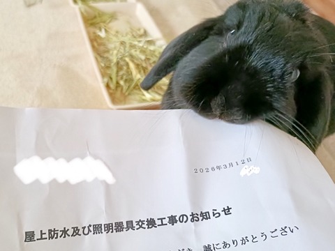 4E7BBF6B-17AD-4330-923E-B42E26B2EC8A