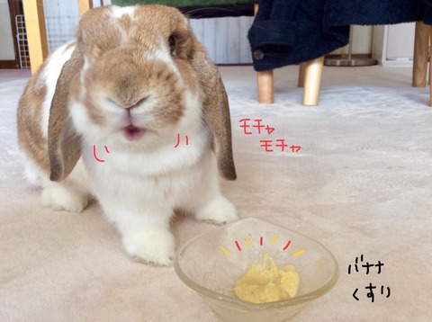 911C1F65-A016-4A63-BC64-304AF83A7708