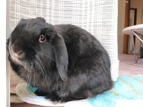 F3A42296-D245-48B2-908D-675652F06AF2