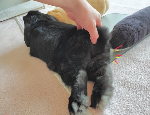 418072C9-0DE3-48B7-8914-36654AE891DF