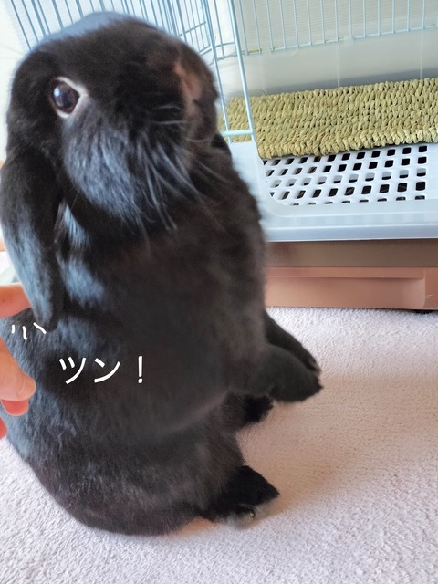 81CBB716-8C29-4B64-A531-60C42C705D46