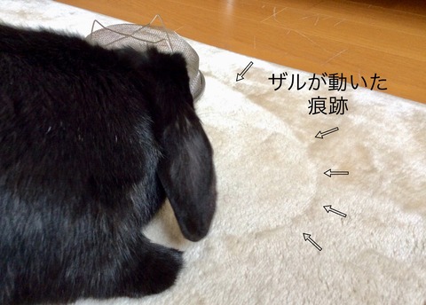 E22F3D80-45F2-4587-8F07-96363C3C656E