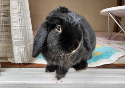 CD70853E-A2A9-4AF5-AB5D-A0B5D7E9864D