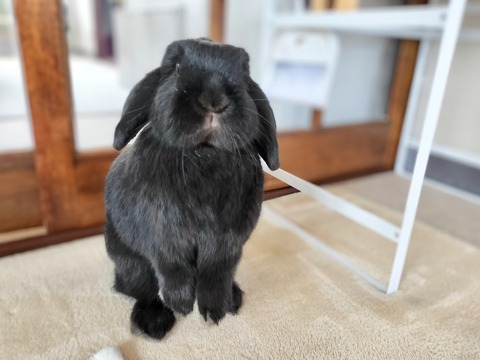 FA367241-F3D8-43DE-BB86-C135B4E3FB82