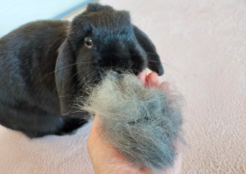 D6FB18DA-71BA-44EF-AF14-7E67F49384E5