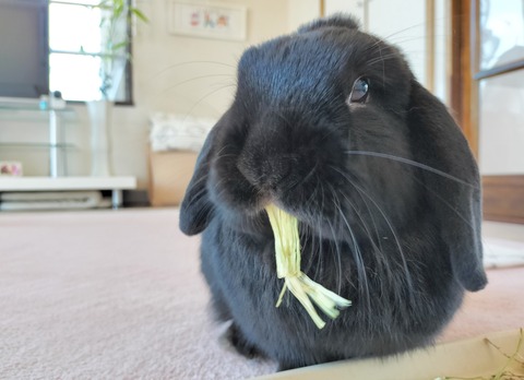 2A14A37C-143B-4949-952F-1E103C6E4BCB