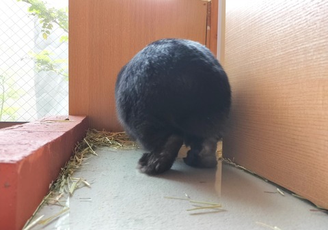 175C44EE-D986-4B81-B1B2-912414A02BED