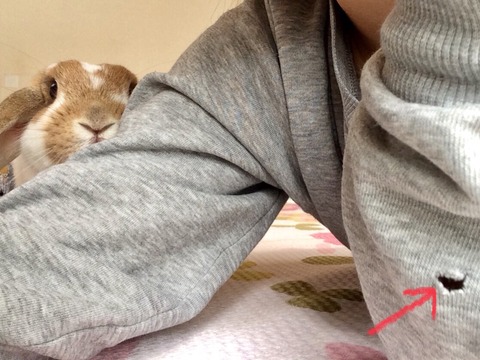 2A48D6A9-8A6B-4E81-8806-33B9EF70EE58