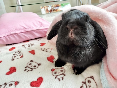 A2EF4516-5BE2-4586-8468-F7EB64A8D9F6