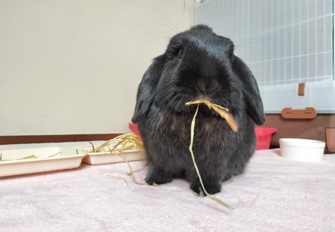 82B210DE-CBE5-48CB-AB76-A7D2653BAAC5