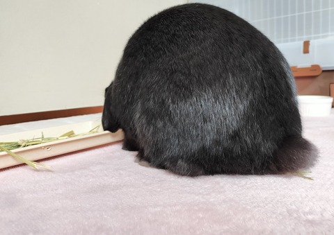 9C87ECE5-4027-4B54-B3A5-BB2C8957F974