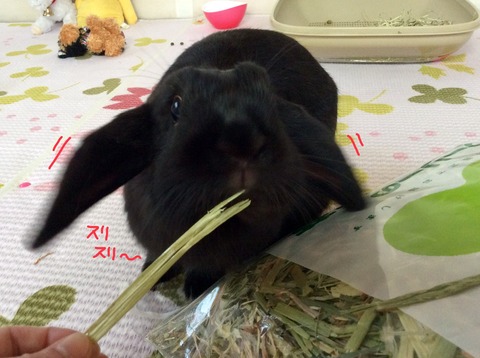 4DE412BE-DEF9-46AD-A3A7-03E03C1D5F03