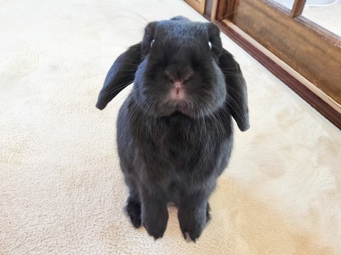 6D52250E-3F9A-42D9-83DF-4205E13E4593