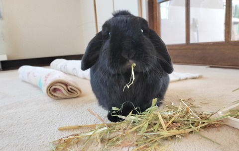 B7FAF5F7-C15E-42E4-B5AD-B35916058BC0