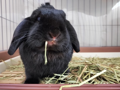 C4E2E0B4-B443-4DF7-A26A-BB57C502C240