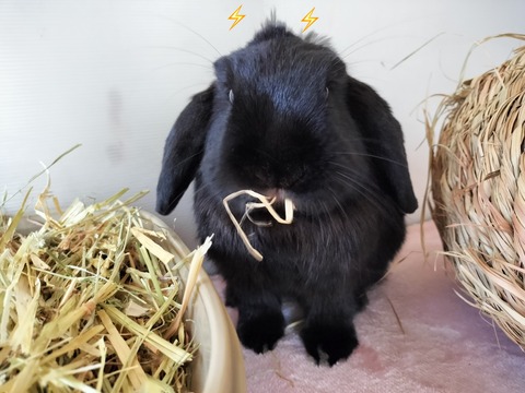 659C9B61-3D3A-4155-ADEF-1504E7F54D5A