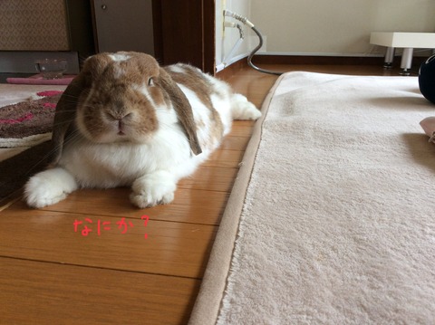 702BFFCB-200B-49F5-BD3A-F762C7F6F468