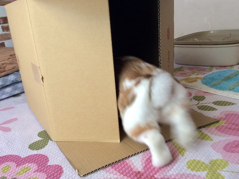 00C91AB9-857A-4113-90C7-9ECCAA5E939B