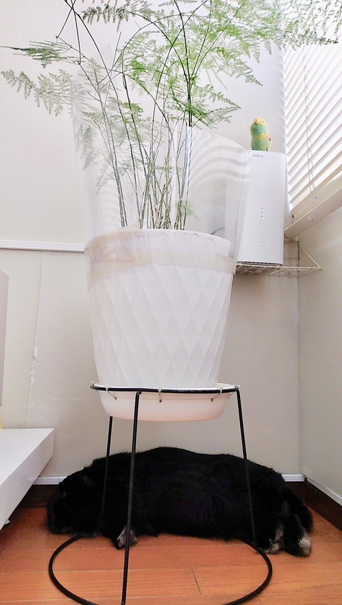 66B57C0F-611E-4B26-AF61-4BE8E41FB59E