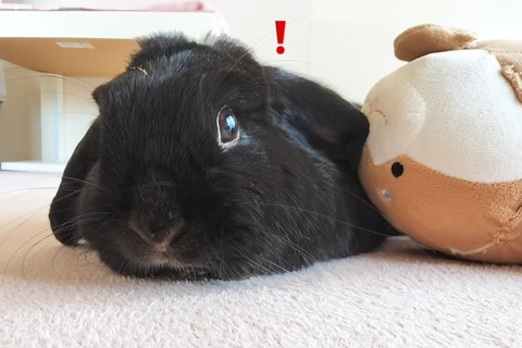 F322F827-3F45-4BBF-AA33-5288708F2F8B