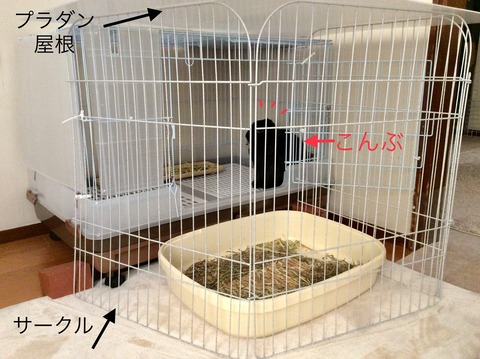 41ED1BE6-2FD9-456D-B809-7001792C7FB6