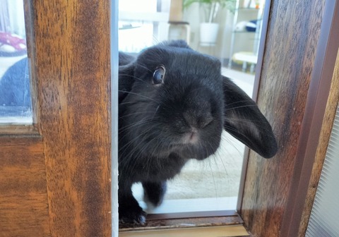 7F46CCA7-63BC-490A-A06F-FD034219C64F