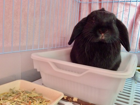 53D22FE0-E131-43CD-9DFC-3E7F2AFF388F